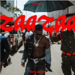 Frenna Ft. Shallipopi – ZaaZaa
